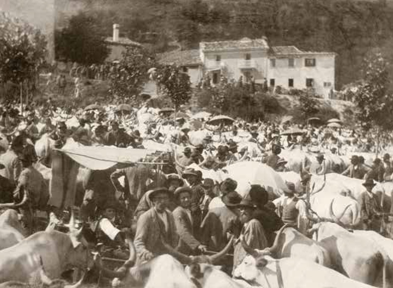 Un giorno di fiera in Borgo. Foto Adolfo Chelius, 1892